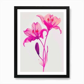 Hot Pink Lily 2 Art Print