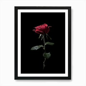 Single Red Rose On Black Background 18 Art Print