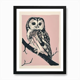 Northern Saw Whet Owl Linocut Blockprint 2 Art Print