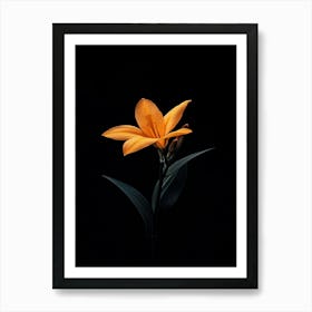 Orange Lily 8 Art Print