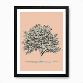 Pecan Tree Minimalistic Drawing 1 Affiche