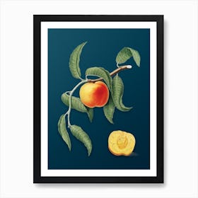 Vintage Peach Botanical Art on Teal Blue n.0041 Art Print