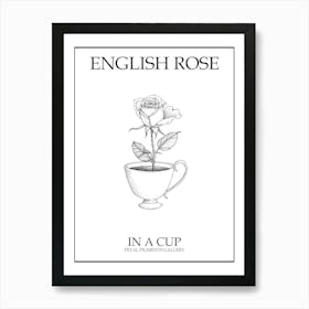 English Rose In A Cup Line Drawing 3 Poster Art Print