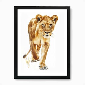 African Lion Lioness On The Prowl Clipart 3 Art Print