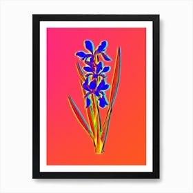 Neon Yellow Banded Iris Botanical in Hot Pink and Electric Blue n.0396 Art Print
