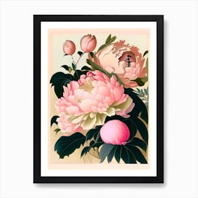 Kansas Peonies Pink 1 Vintage Sketch Art Print