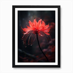 Red Flower Art Print