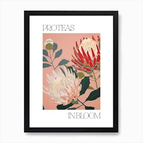 Proteas In Bloom Flowers Bold Illustration 2 Art Print