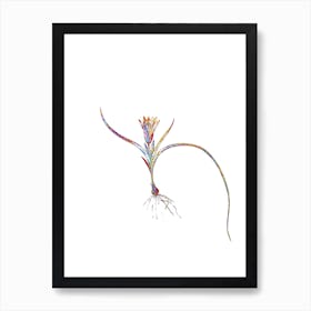 Stained Glass Ixia Recurva Mosaic Botanical Illustration on White Art Print