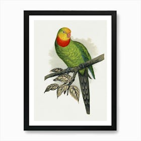 Parrot On A Branch 5 Art Print