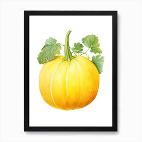 Spaghetti Squash Pumpkin Watercolour Illustration 1 Art Print