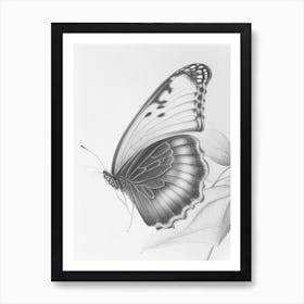 Butterfly In Migration Greyscale Sketch 1 Art Print