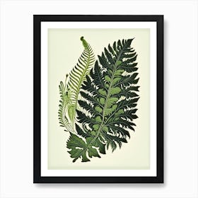 Walking Fern 1 Vintage Botanical Poster Art Print