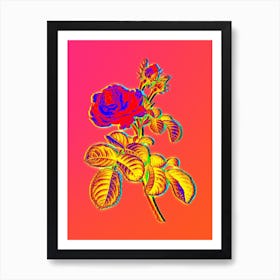 Neon Provence Rose Botanical in Hot Pink and Electric Blue n.0432 Art Print