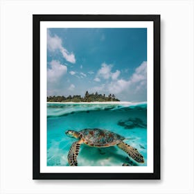 Sea Turtle In The Maldives Art Print