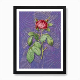 Vintage Red Gallic Rose Botanical Illustration on Veri Peri Art Print