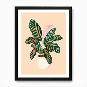 Calathea Plant Minimalist Illustration 7 Art Print