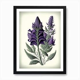 Lavender Leaf Vintage Botanical 3 Art Print