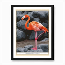 Greater Flamingo Galapagos Islands Ecuador Tropical Illustration 2 Poster Art Print