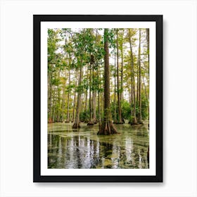 Charleston Cypress Gardens XXXVIII Art Print