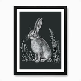 English Silver Rabbit Minimalist 2 Art Print
