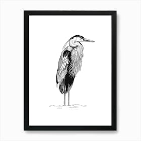 Great Blue Heron Standing in Ink Art Print