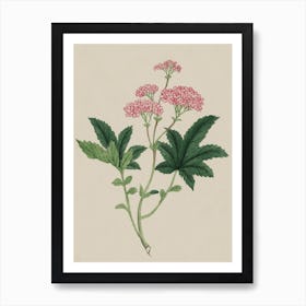 Geranium Art Print