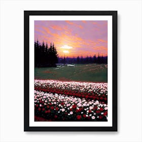 Sunset In A Flower Field Art Print