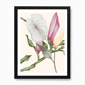 Calla lily and magnolias Art Print