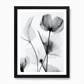 Black White Photograph Flowers W Art Print