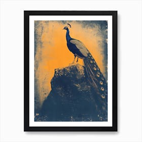 Orange & Blue Peacock On A Rock 1 Art Print