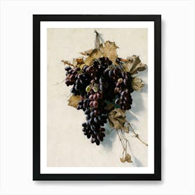 Grapes On A Branch 1 Art Print