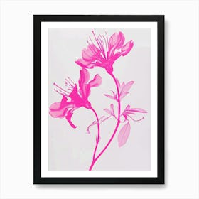 Hot Pink Honeysuckle 2 Art Print