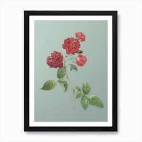 Vintage Red Cabbage Rose in Bloom Botanical Art on Mint Green n.0062 Art Print
