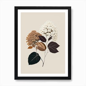 Hydrangea Root Spices And Herbs Retro Minimal 3 Art Print