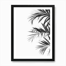 Black And White Palm Leaves 2 Art Print