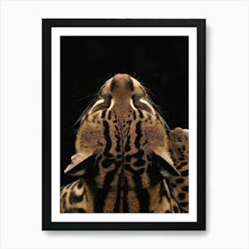 Tiger symbol of wealth Art Print