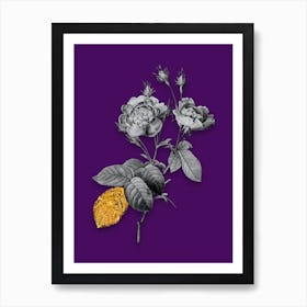 Vintage Anemone Centuries Rose Black and White Gold Leaf Floral Art on Deep Violet n.0866 Art Print