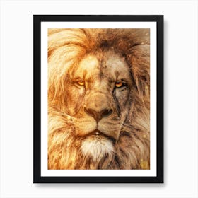 The Spirit Of The Fire Lion Art Print