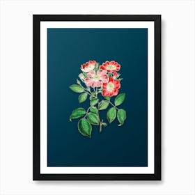 Vintage Rose Clare Flower Botanical Art on Teal Blue n.0862 Art Print