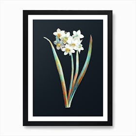 Vintage Narcissus Easter Flower Botanical Watercolor Illustration on Dark Teal Blue n.0423 Art Print