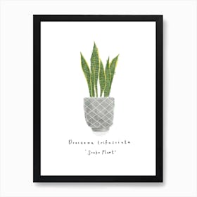 Snake Plant Art Print