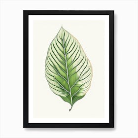 Hosta Leaf Warm Tones 4 Art Print