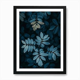 Dark Blue Leaves Art Print