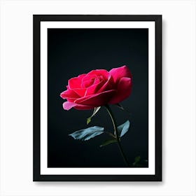 Rose On Black Background 15 Art Print