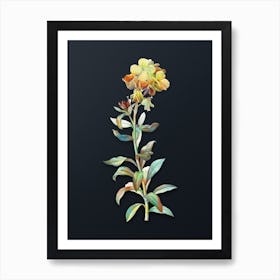 Vintage Yellow Wallflower Bloom Botanical Watercolor Illustration on Dark Teal Blue n.0236 Art Print