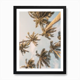 Palm Trees In The Sky Art Print