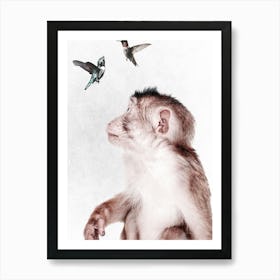 Monkey with Birds Art Print