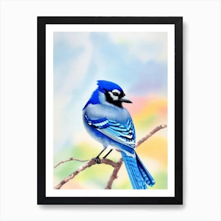 Blue Jay  Bird drawings, Eagle painting, Watercolor bird