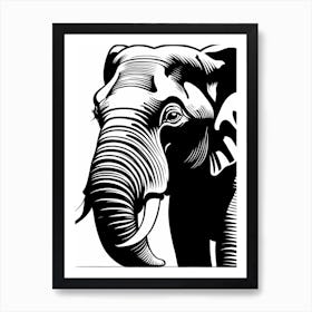 Elephant with Tusks, 1354 Art Print